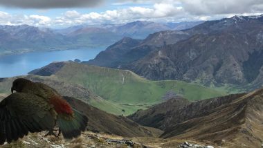 Ben Lomond Summit